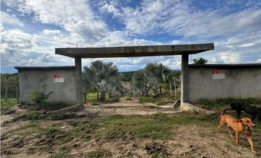 Finca Productiva en Venta Los Palmitos, Sucre: Ganadería y Cultivos