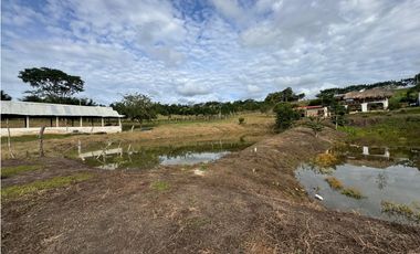 Finca Productiva en Venta Los Palmitos, Sucre: Ganadería y Cultivos