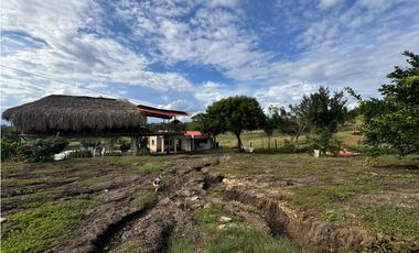 Finca Productiva en Venta Los Palmitos, Sucre: Ganadería y Cultivos