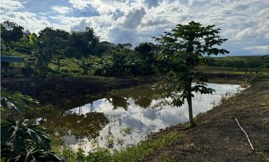 Finca Productiva en Venta Los Palmitos, Sucre: Ganadería y Cultivos