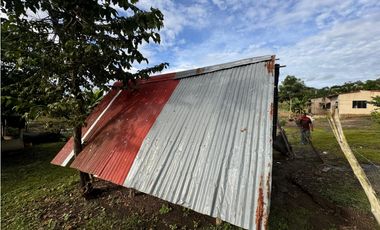 Finca Productiva en Venta Los Palmitos, Sucre: Ganadería y Cultivos