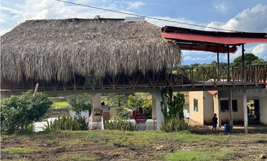 Finca Productiva en Venta Los Palmitos, Sucre: Ganadería y Cultivos
