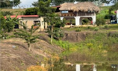Finca Productiva en Venta Los Palmitos, Sucre: Ganadería y Cultivos