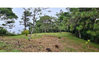 GANGA! Se Vende Terreno al final de Calle, Rioca Altos del Maria