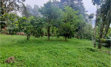 Casa lote en venta en El Poblado, sector los balsos
