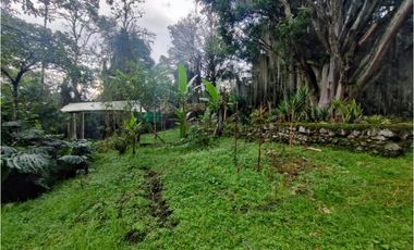 Casa lote en venta en El Poblado, sector los balsos