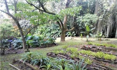 Casa lote en venta en El Poblado, sector los balsos