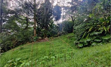Casa lote en venta en El Poblado, sector los balsos