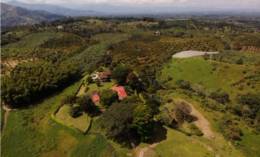 Venta de Finca Tipica Sembrada en Banano Aguacate Yuca Calarcá