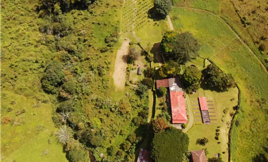 Venta de Finca Tipica Sembrada en Banano Aguacate Yuca Calarcá