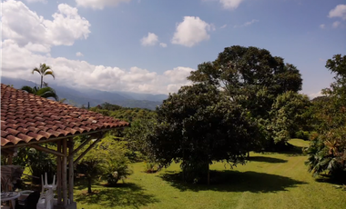 Venta de Finca Tipica Sembrada en Banano Aguacate Yuca Calarcá