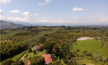 Venta de Finca Tipica Sembrada en Banano Aguacate Yuca Calarcá