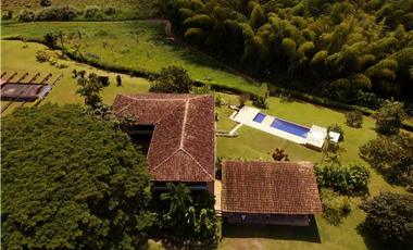 Venta de Finca Tipica Sembrada en Banano Aguacate Yuca Calarcá