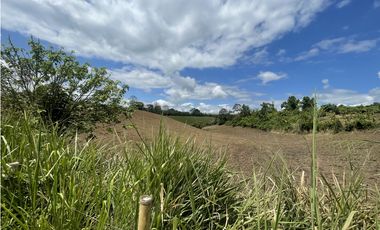 Se Vende Lote Industrial La Tebaida Quindio