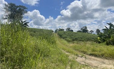 Se Vende Lote Industrial La Tebaida Quindio