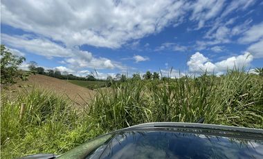 Se Vende Lote Industrial La Tebaida Quindio