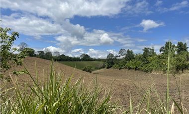 Se Vende Lote Industrial La Tebaida Quindio