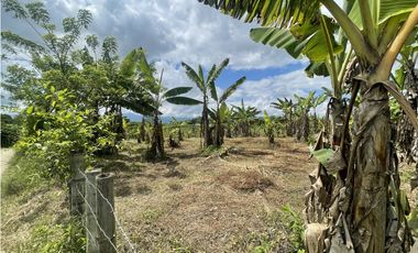 Se Vende Lote Industrial La Tebaida Quindio