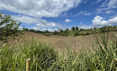 Se Vende Lote Industrial La Tebaida Quindio