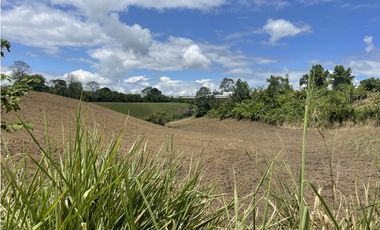 Se Vende Lote Industrial La Tebaida Quindio