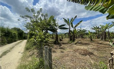 Se Vende Lote Industrial La Tebaida Quindio