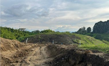 Se Venden Lotes Independientes Parcelacion Occidente Armenia