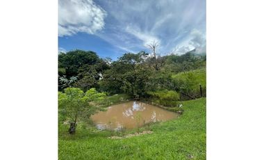 Vendo Lote Venecia Antioquia