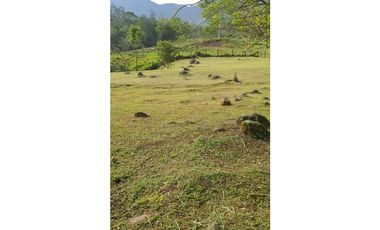 Vendo Lote Venecia Antioquia