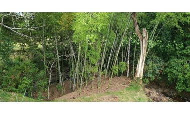 Vendo Lote Venecia Antioquia
