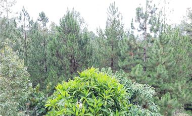 Venta Casa Campestre Unidad Cerrada el Retiro