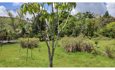 Se Vende Finca Campestre en Guarne, Toldas, Naturaleza, Inversión