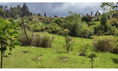 Se Vende Finca Campestre en Guarne, Toldas, Naturaleza, Inversión