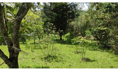 Se Vende Finca Campestre en Guarne, Toldas, Naturaleza, Inversión