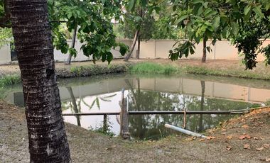 4 Bedroom Villa for sale in Nang Lae, Chiang Rai