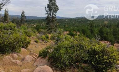 Terreno Construccion  en Venta en ARBOLILLO, SAN JAVIER