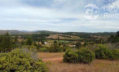 Terreno Construccion  en Venta en ARBOLILLO, SAN JAVIER