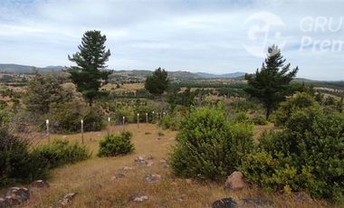 Terreno Construccion  en Venta en ARBOLILLO, SAN JAVIER
