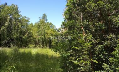 EN VENTA 3 PARCELAS CAMINO AL VOLCAN VILLARRICA