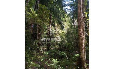 EN VENTA 3 PARCELAS CAMINO AL VOLCAN VILLARRICA