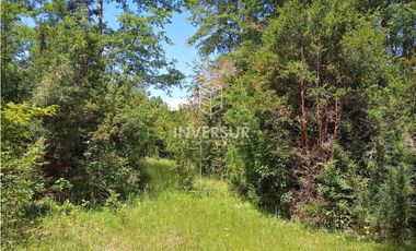 EN VENTA 3 PARCELAS CAMINO AL VOLCAN VILLARRICA