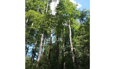 EN VENTA 3 PARCELAS CAMINO AL VOLCAN VILLARRICA