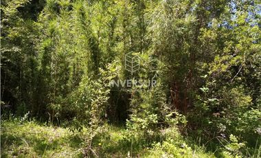 EN VENTA 3 PARCELAS CAMINO AL VOLCAN VILLARRICA