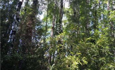 EN VENTA 3 PARCELAS CAMINO AL VOLCAN VILLARRICA