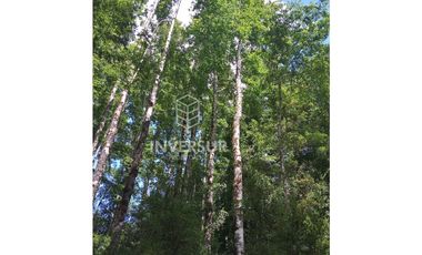 EN VENTA 3 PARCELAS CAMINO AL VOLCAN VILLARRICA