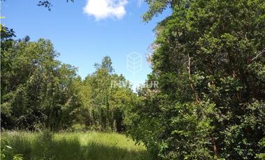 EN VENTA 3 PARCELAS CAMINO AL VOLCAN VILLARRICA