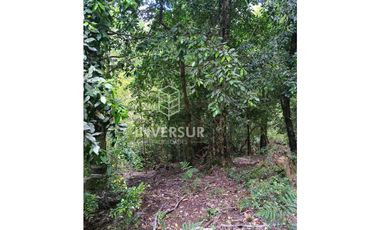 EN VENTA 3 PARCELAS CAMINO AL VOLCAN VILLARRICA