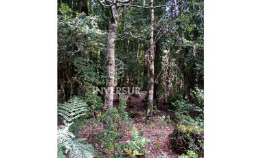 EN VENTA 3 PARCELAS CAMINO AL VOLCAN VILLARRICA