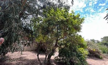 Terreno calle Viena Villa Alemana