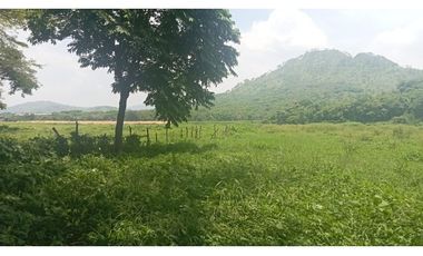 LA VIDA SIMPLE EN ESTE RANCHO EN JIQUIPILAS, CHIAPAS TE ESPERA