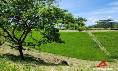Lote en parcelación cerca a Alcalá, Valle